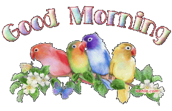 {#good morning parrots.gif}
