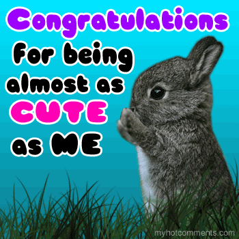 {#congratulations rabbit.gif}