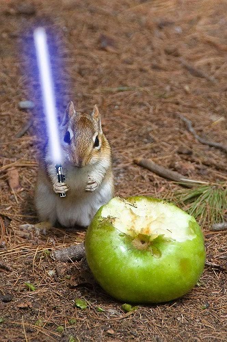 {#chipmunk-lightsaber-apple.jpg}