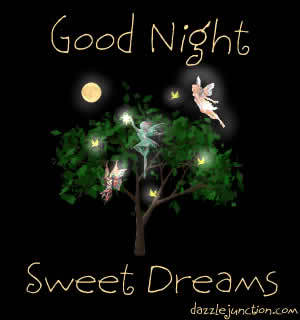 {#good night sweet dreams.jpg}