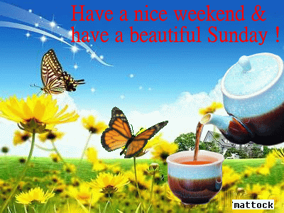 {#Nice WS.gif} {#Nice WS.gif}